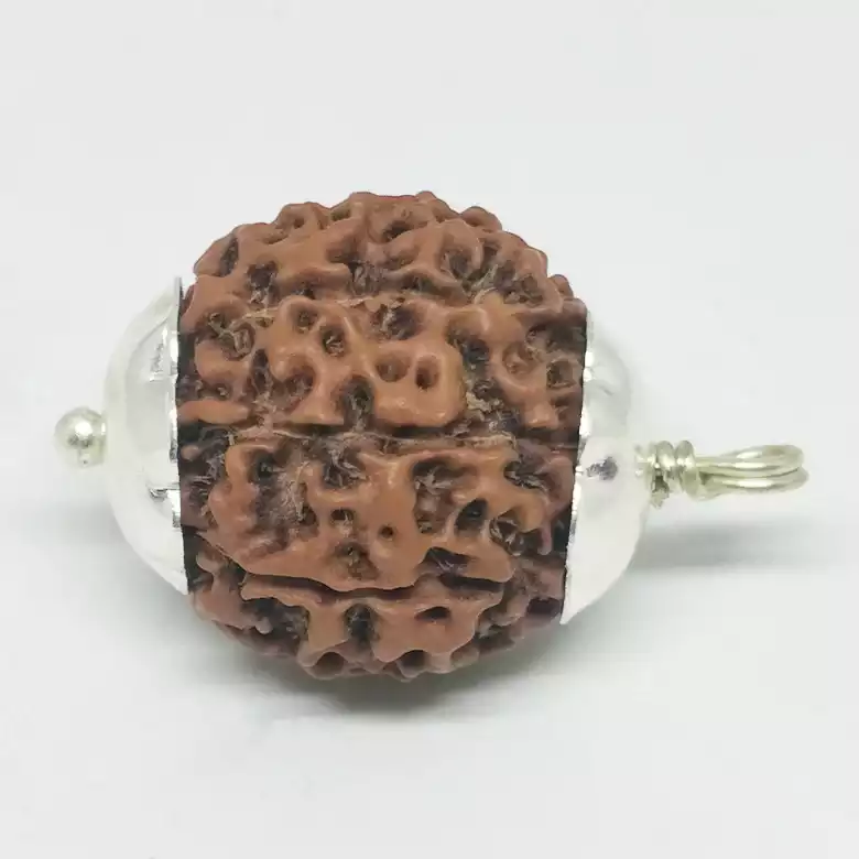 8-Mukhi Rudraksha