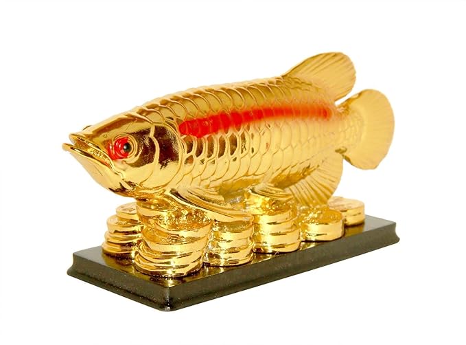 Golden Arowana Fish